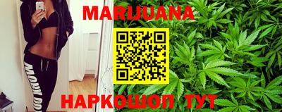 мяу мяу мука Баксан