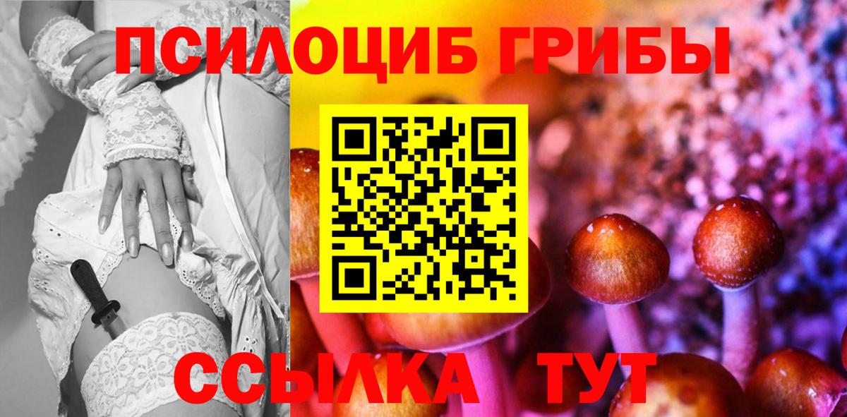 Галлюциногенные грибы мицелий  Галлюциногенные грибы Psilocybine cubensis  Дербент  Вход с VPN 